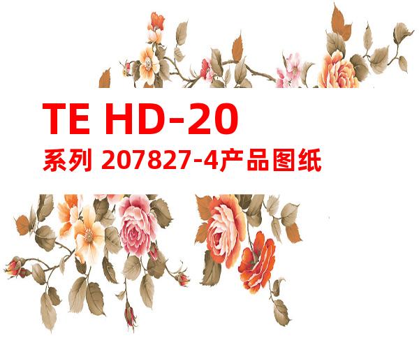 TE HD-20系列 207827-4产品图纸